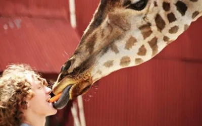 Tennessee Safari Park